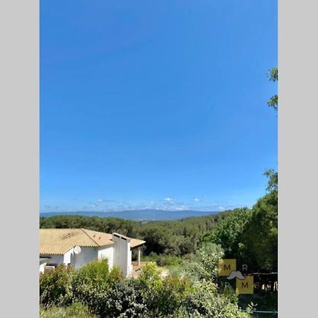 Le Soleil Du Lac Parking Privatif 100 M Du Lac Βίλα Καρκασόν Εξωτερικό φωτογραφία